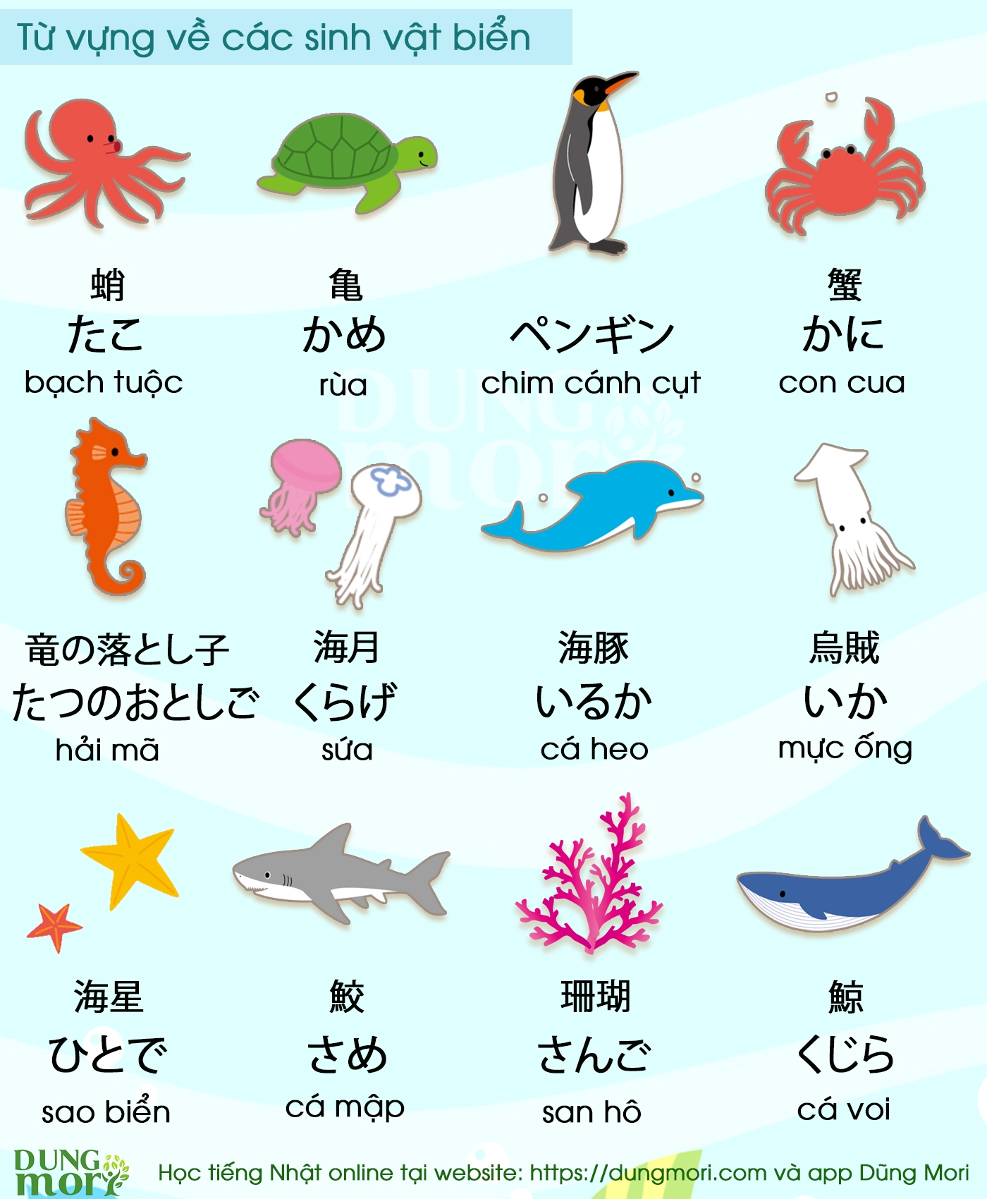 Từ vựng tiếng Nhật về các sinh vật biển