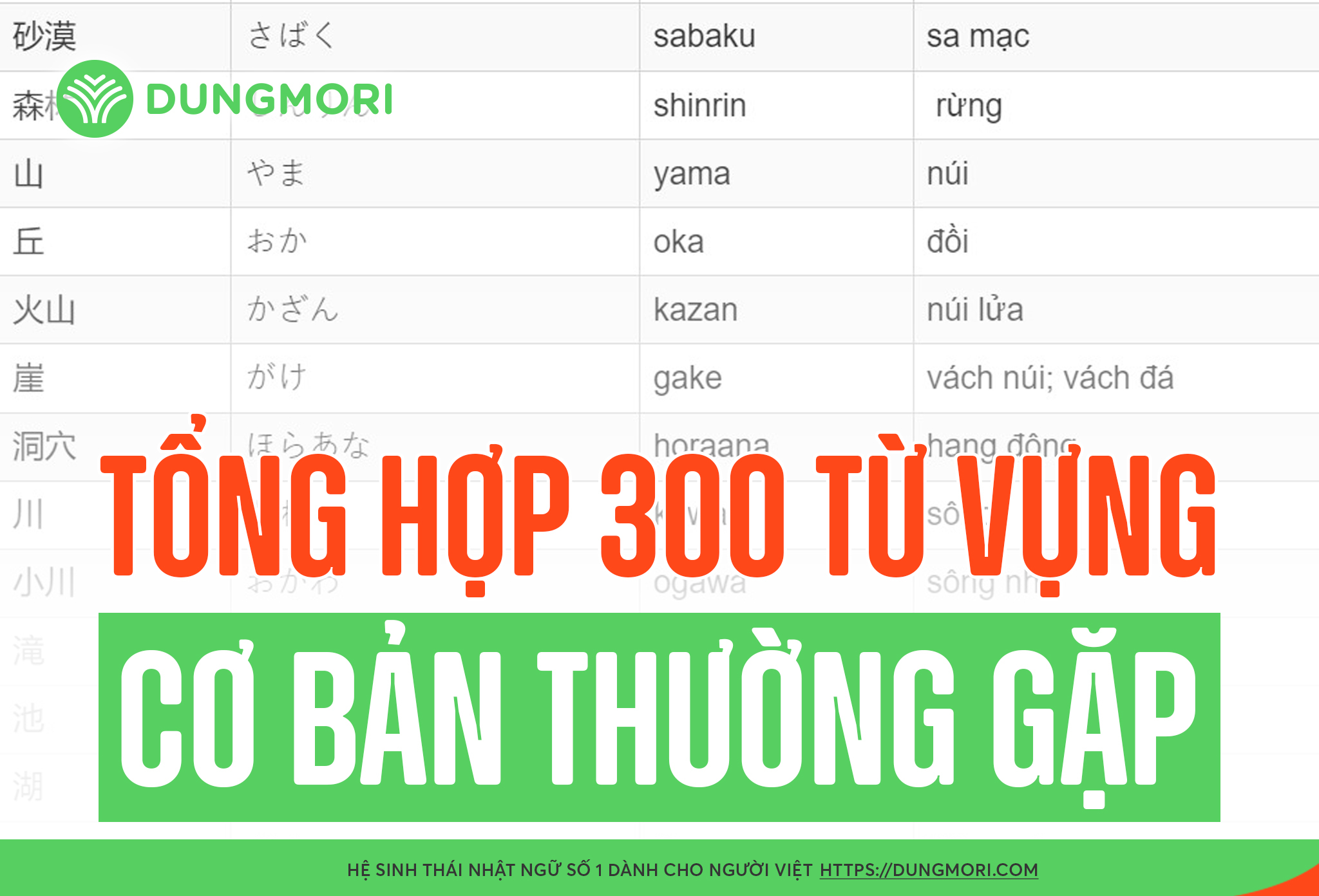 Tổng hợp 300 từ vựng cơ bản thường gặp