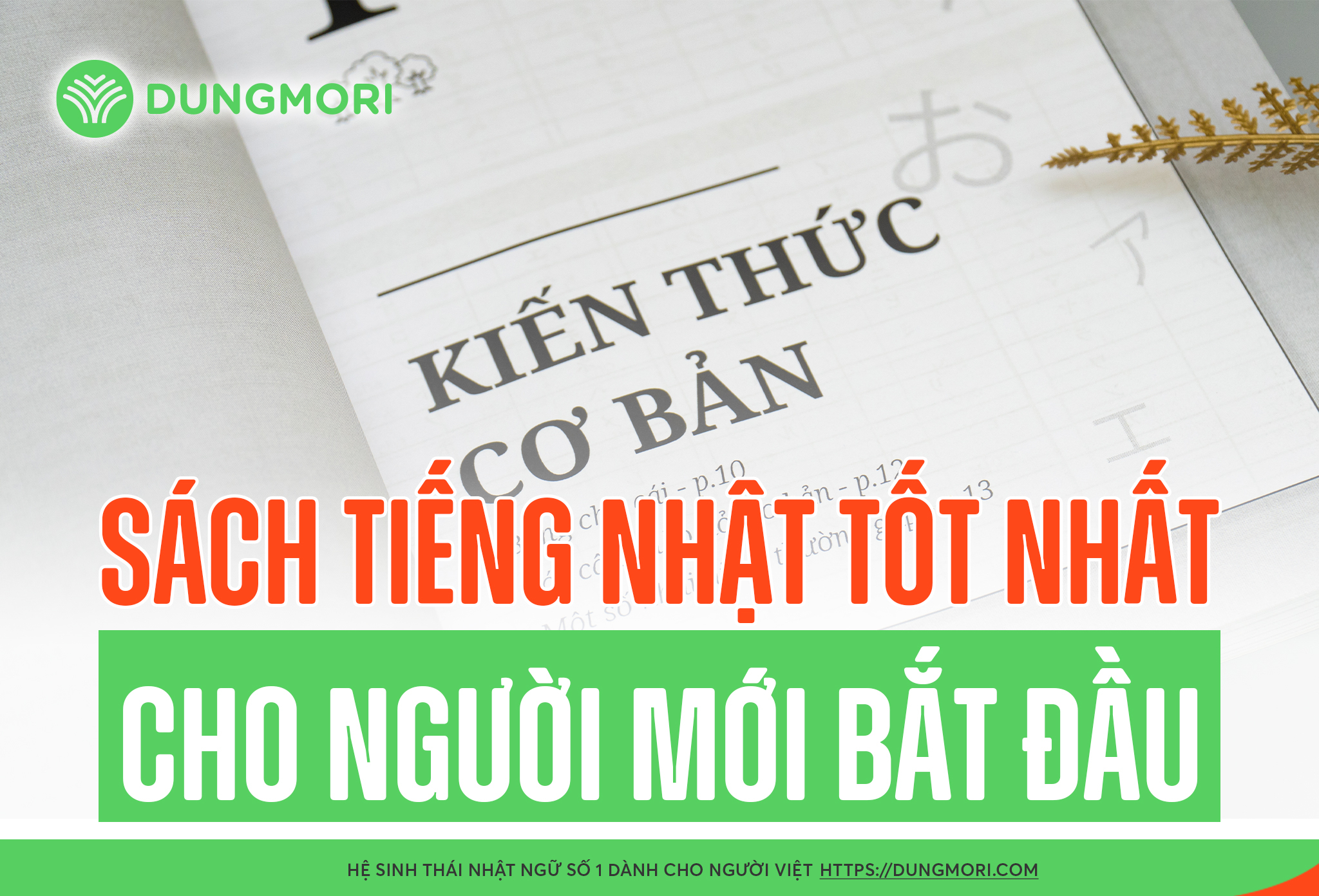 Sách tiếng Nhật tốt nhất cho người mới bắt đầu