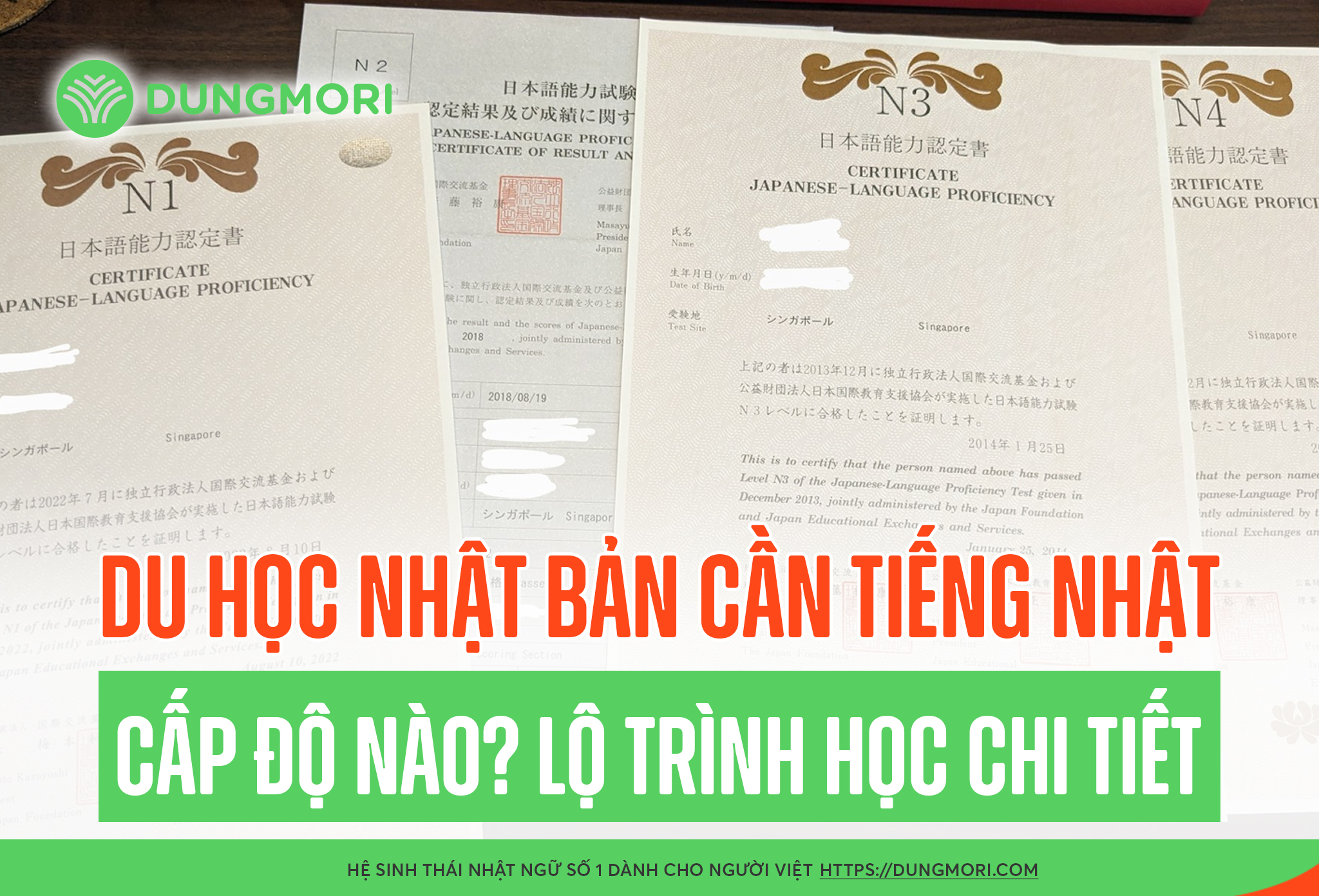 Du học Nhật Bản cần tiếng Nhật cấp độ nào? Lộ trình học chi tiết